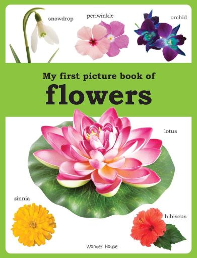 Wonder house My first picture book of Flowers
